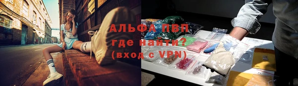 ECSTASY Ладушкин
