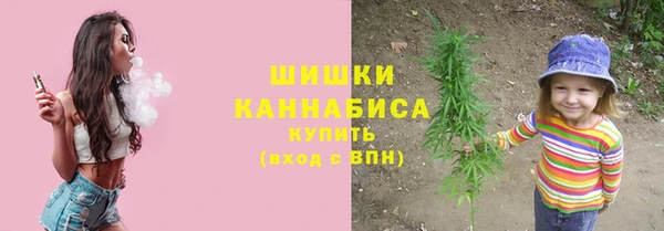 ECSTASY Ладушкин
