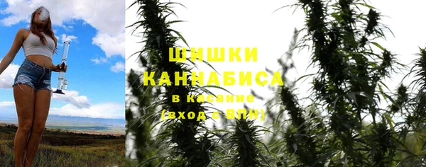 МДПВ Лагань