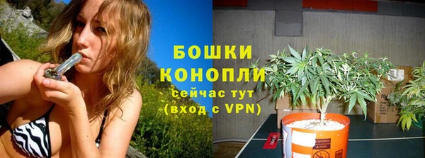 ECSTASY Ладушкин