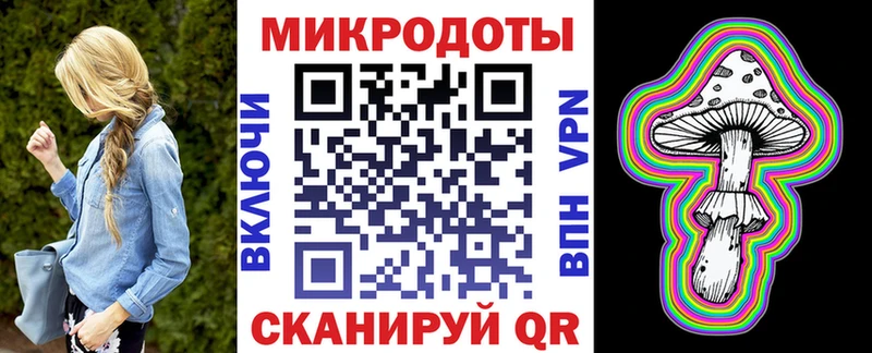 закладка  Ковылкино  Псилоцибиновые грибы Cubensis 